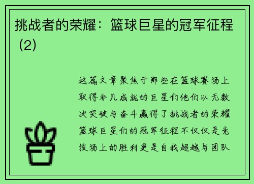 挑战者的荣耀：篮球巨星的冠军征程 (2)